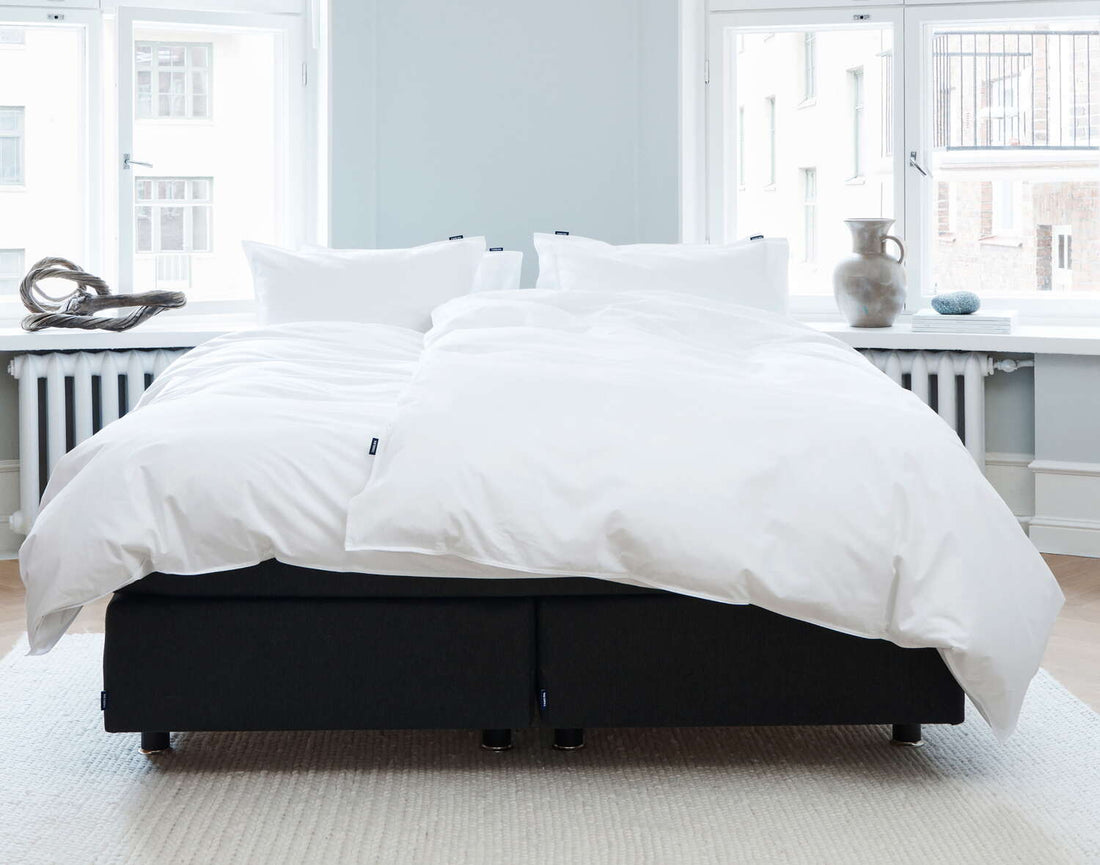 Box spring bed or continental bed
