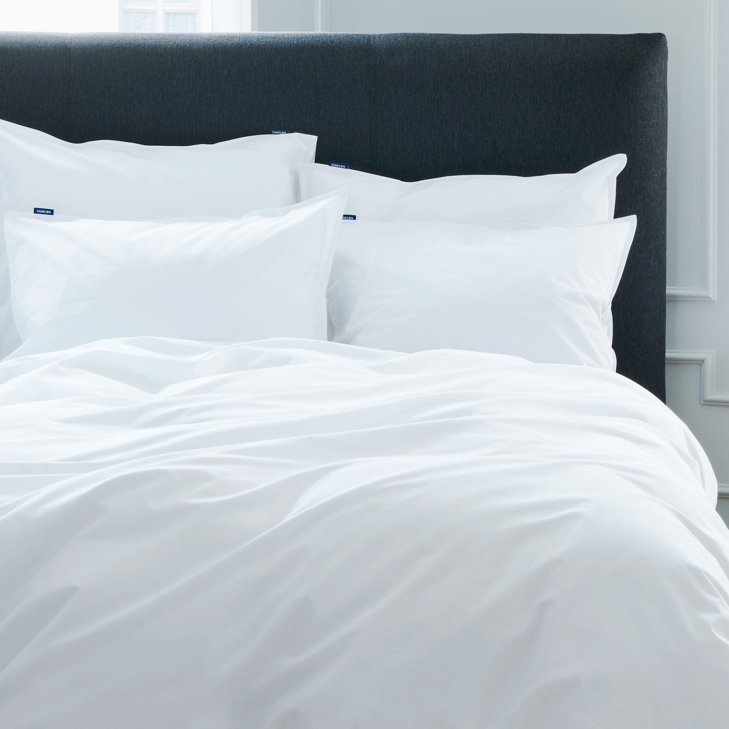 Hotel Safe pillow